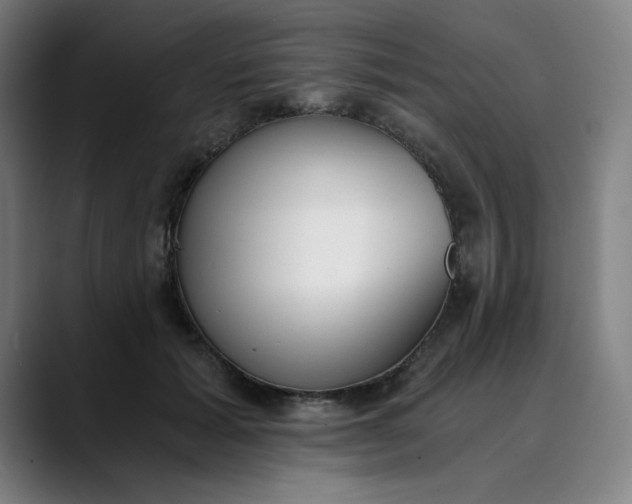 X0000089830605200707121642