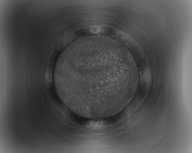 X0000089830606200707121642