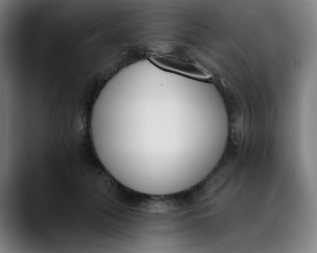 X0000089830608200707121642