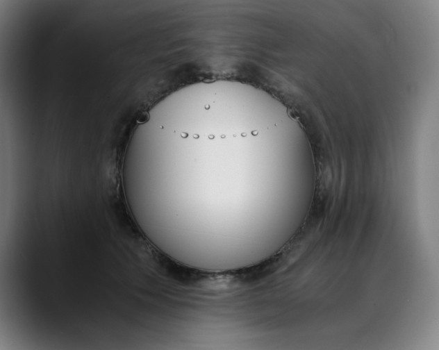 X0000089830609200707121642