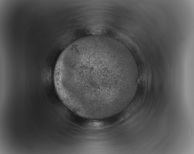 X0000089830610200707121642