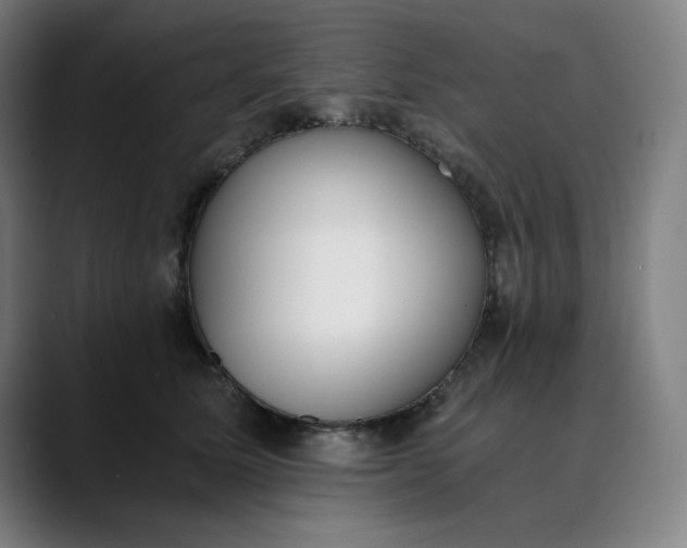 X0000089830611200707121642