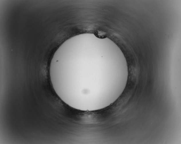 X0000089830612200707121642