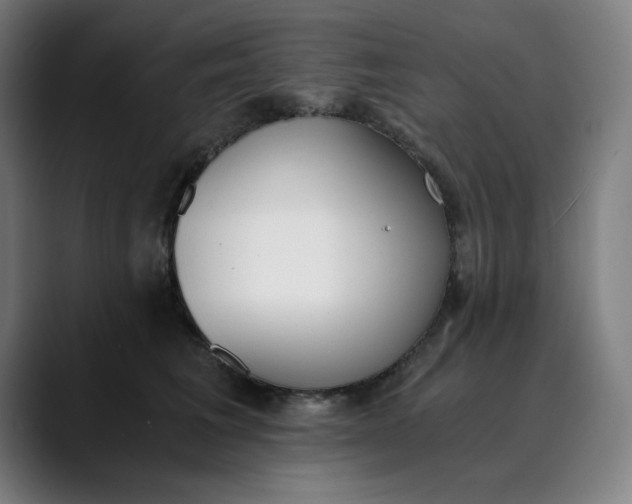 X0000089830613200707121642