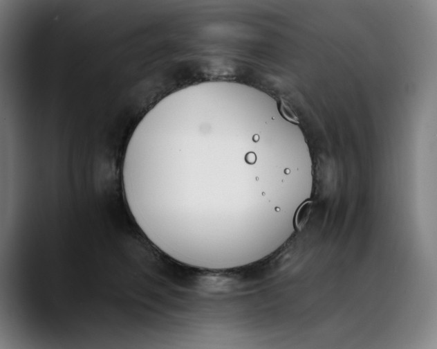 X0000089830614200707121642