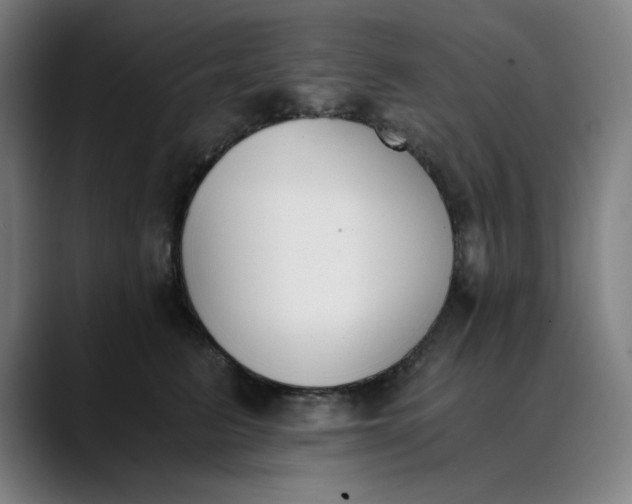 X0000089830615200707121642