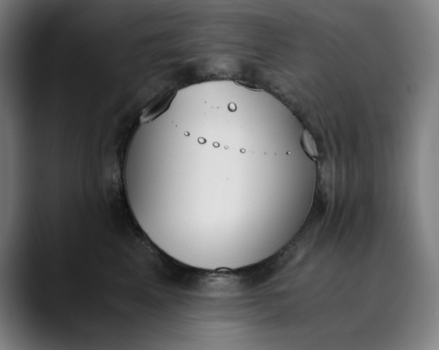 X0000089830617200707121642