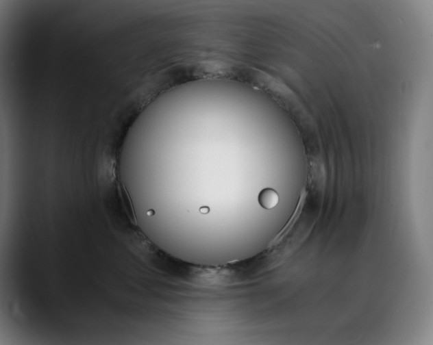 X0000089830621200707121642