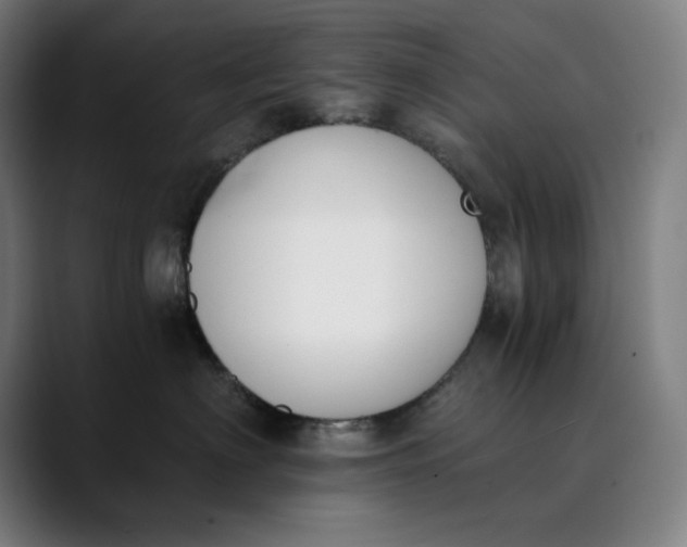 X0000089830622200707121642