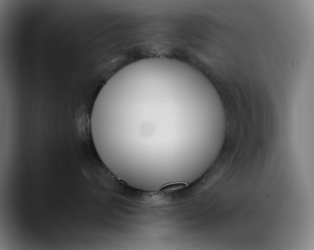 X0000089830624200707121642