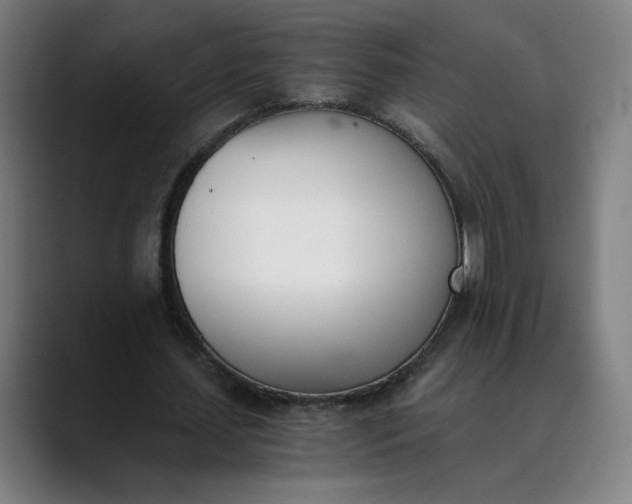 X0000089830627200707121641