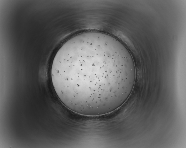 X0000089830628200707121641