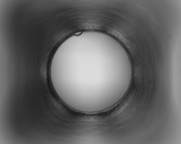 X0000089830629200707121641