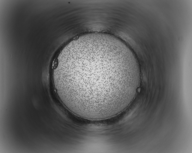 X0000089830630200707121641