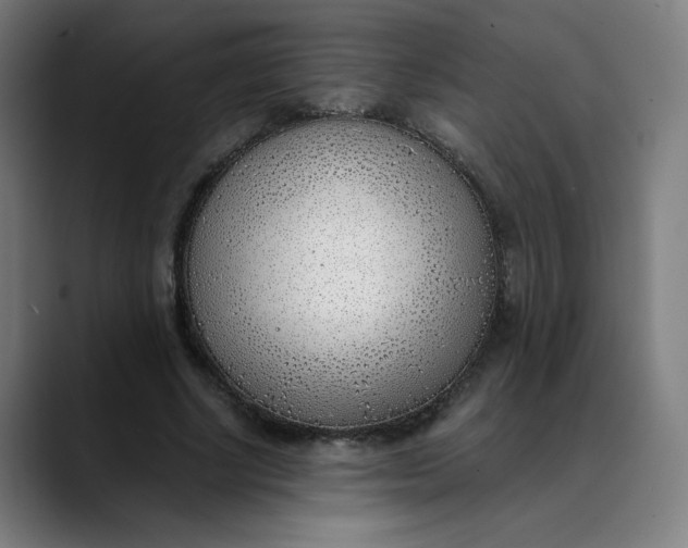 X0000089830634200707121641