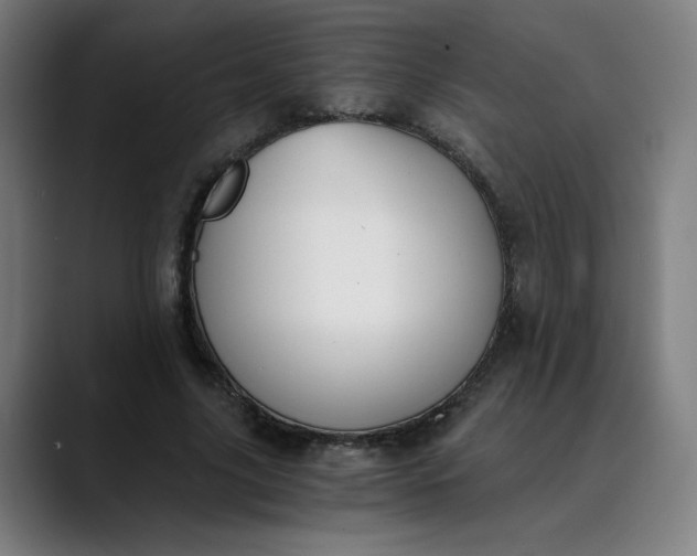 X0000089830635200707121641