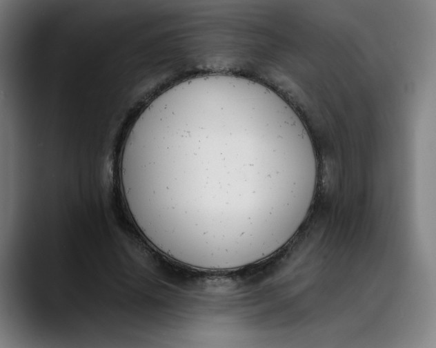 X0000089830636200707121641