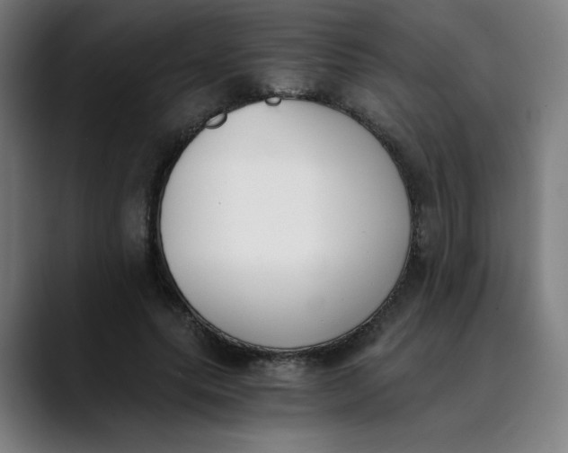 X0000089830639200707121641