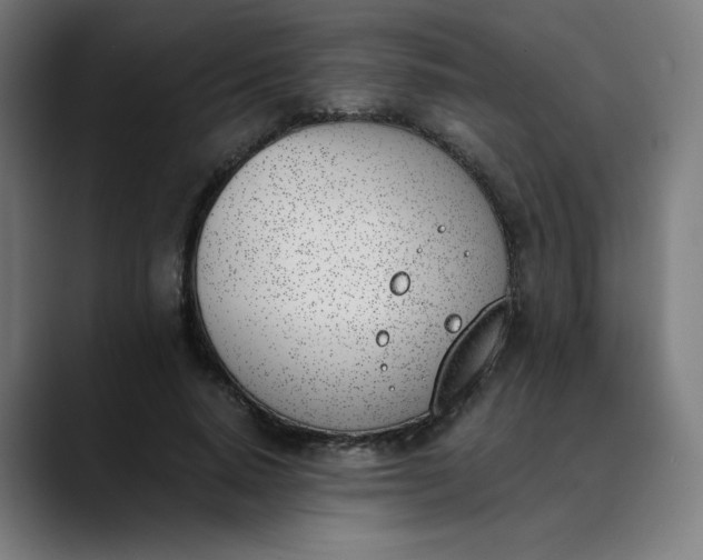 X0000089830640200707121641