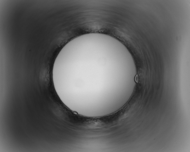 X0000089830642200707121641