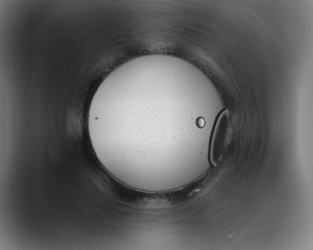 X0000089830644200707121641