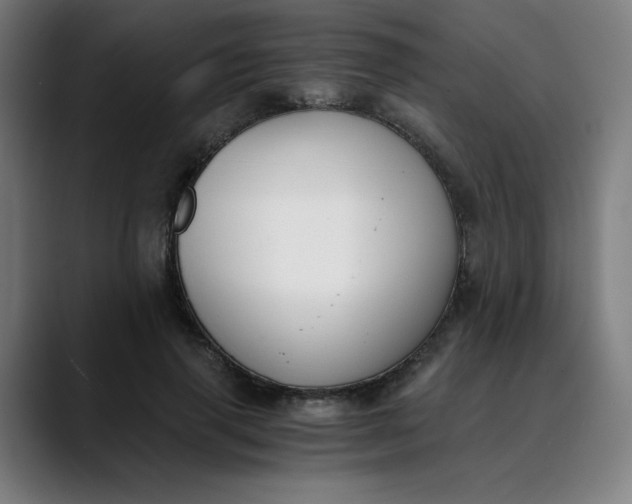 X0000089830645200707121641