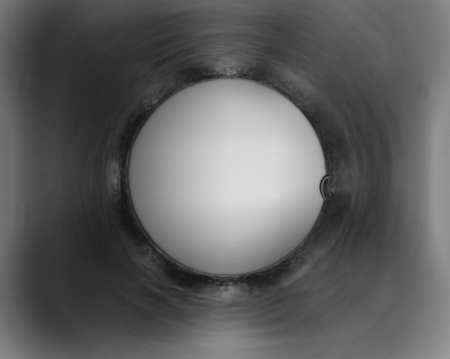 X0000089830646200707121641