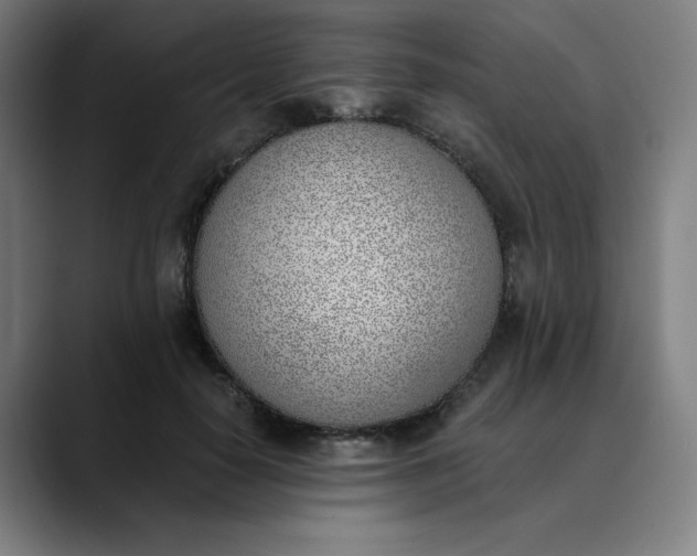 X0000089830650200707121641