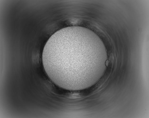 X0000089830651200707121641