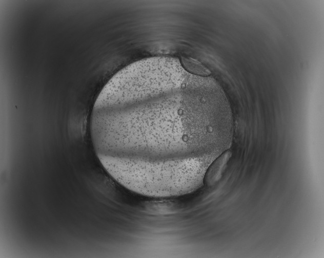 X0000089830652200707121641