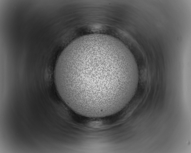 X0000089830653200707121641