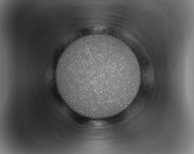 X0000089830654200707121641