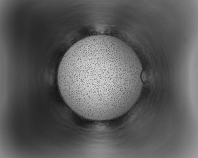 X0000089830656200707121641