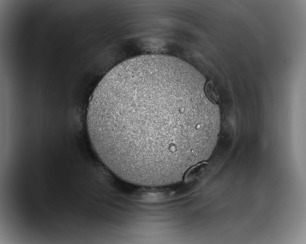 X0000089830658200707121641