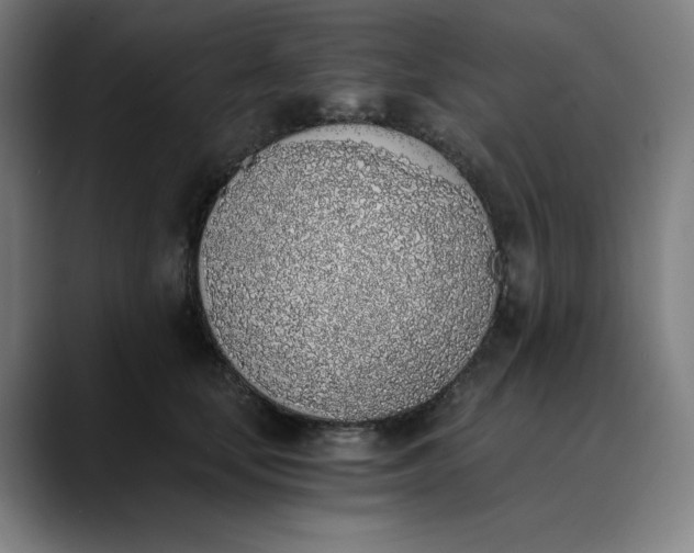 X0000089830659200707121642