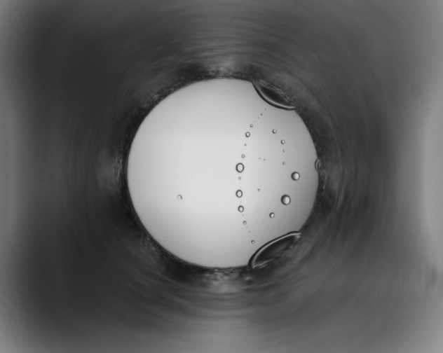 X0000089830660200707121642