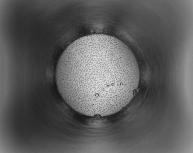 X0000089830661200707121642