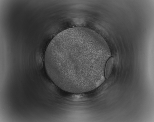 X0000089830662200707121642