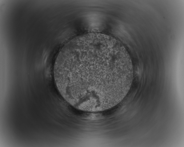 X0000089830663200707121642