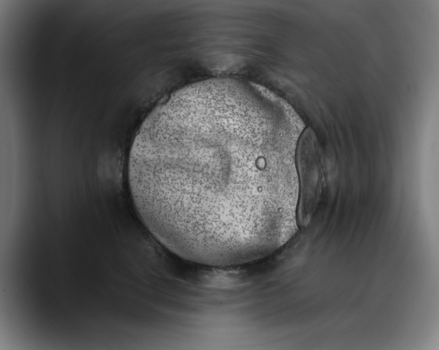 X0000089830664200707121642