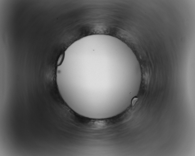 X0000089830665200707121642