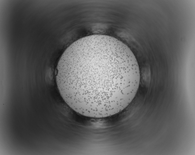 X0000089830667200707121642