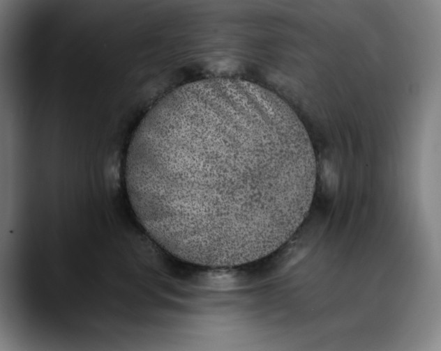 X0000089830668200707121642