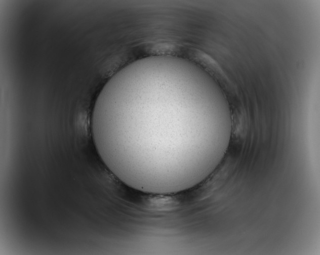 X0000089830669200707121642