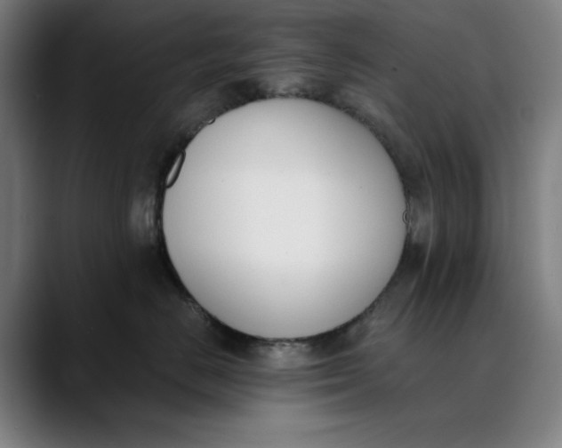 X0000089830670200707121642