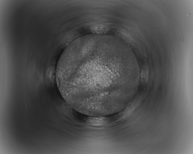 X0000089830671200707121642