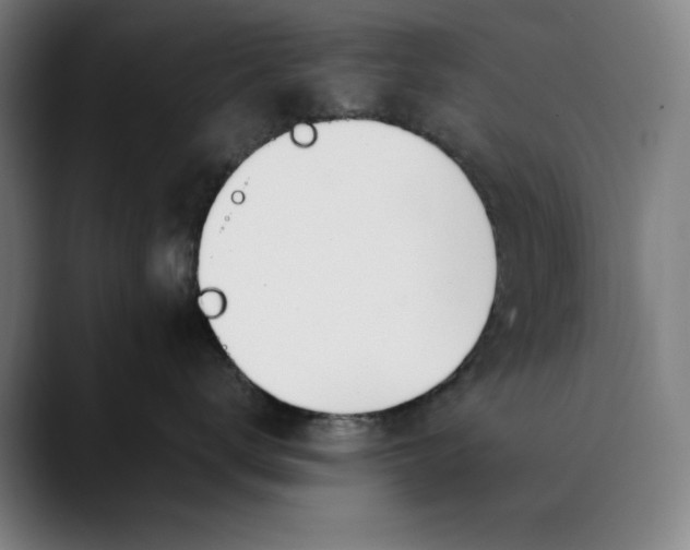 X0000089830672200707121642