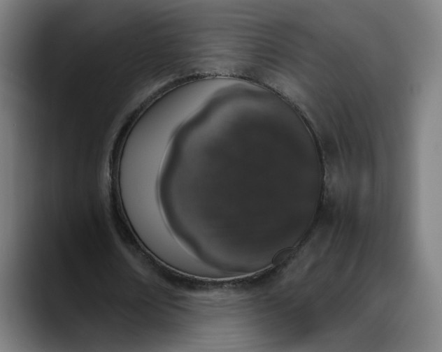 X0000089830674200707121641