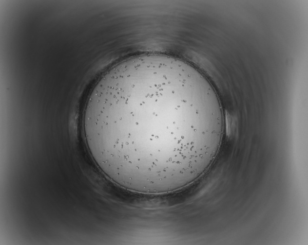 X0000089830675200707121641