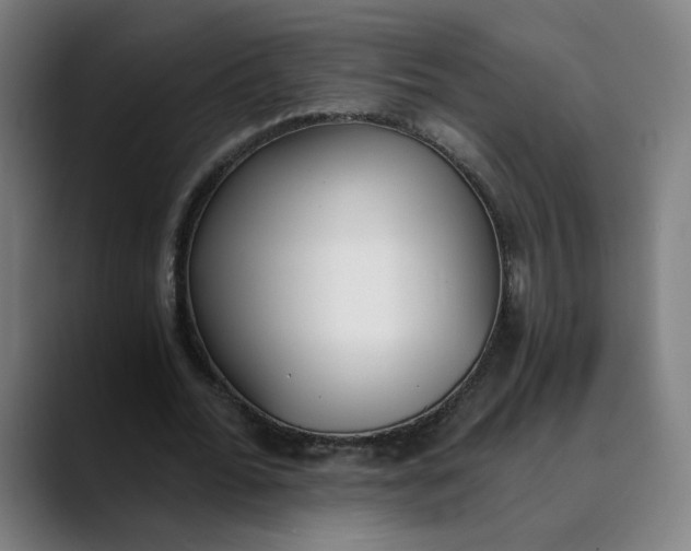 X0000089830676200707121641